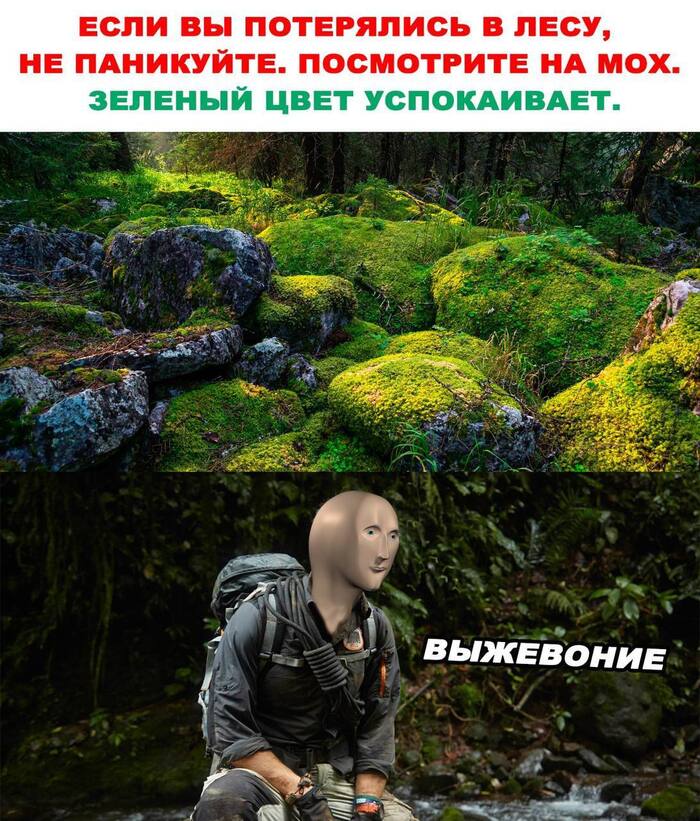 Сразу хорошо на душе... - 24.05.26 17:27