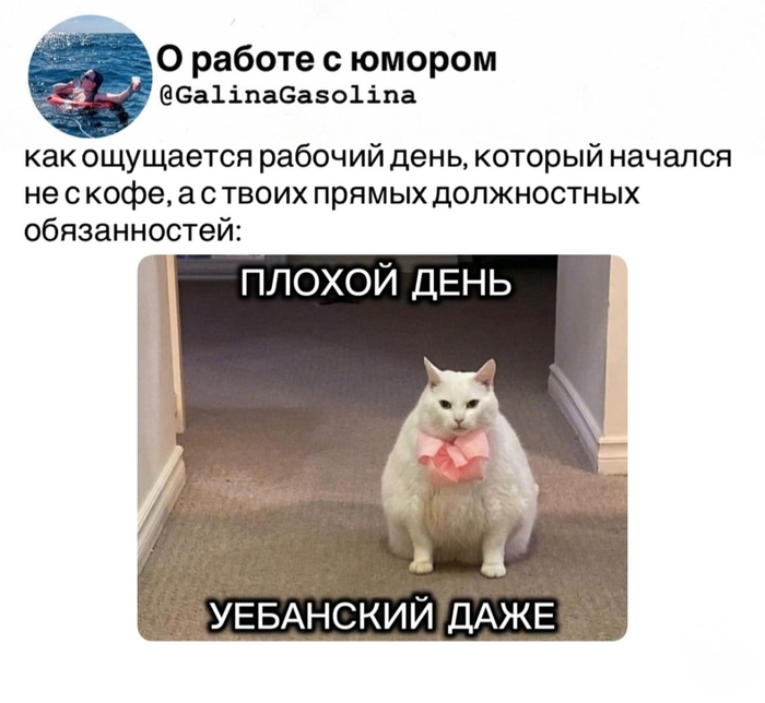 Прям бесит - 07.05.26 09:44