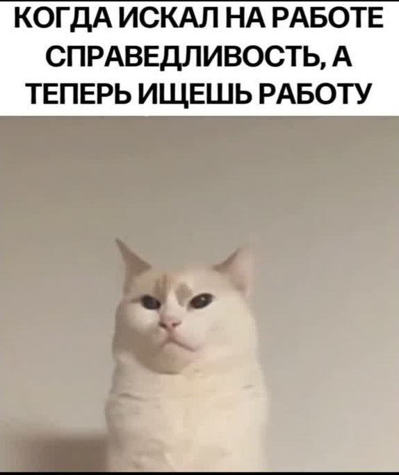 Когда решил, что ты незаменим - 30.05.26 01:41